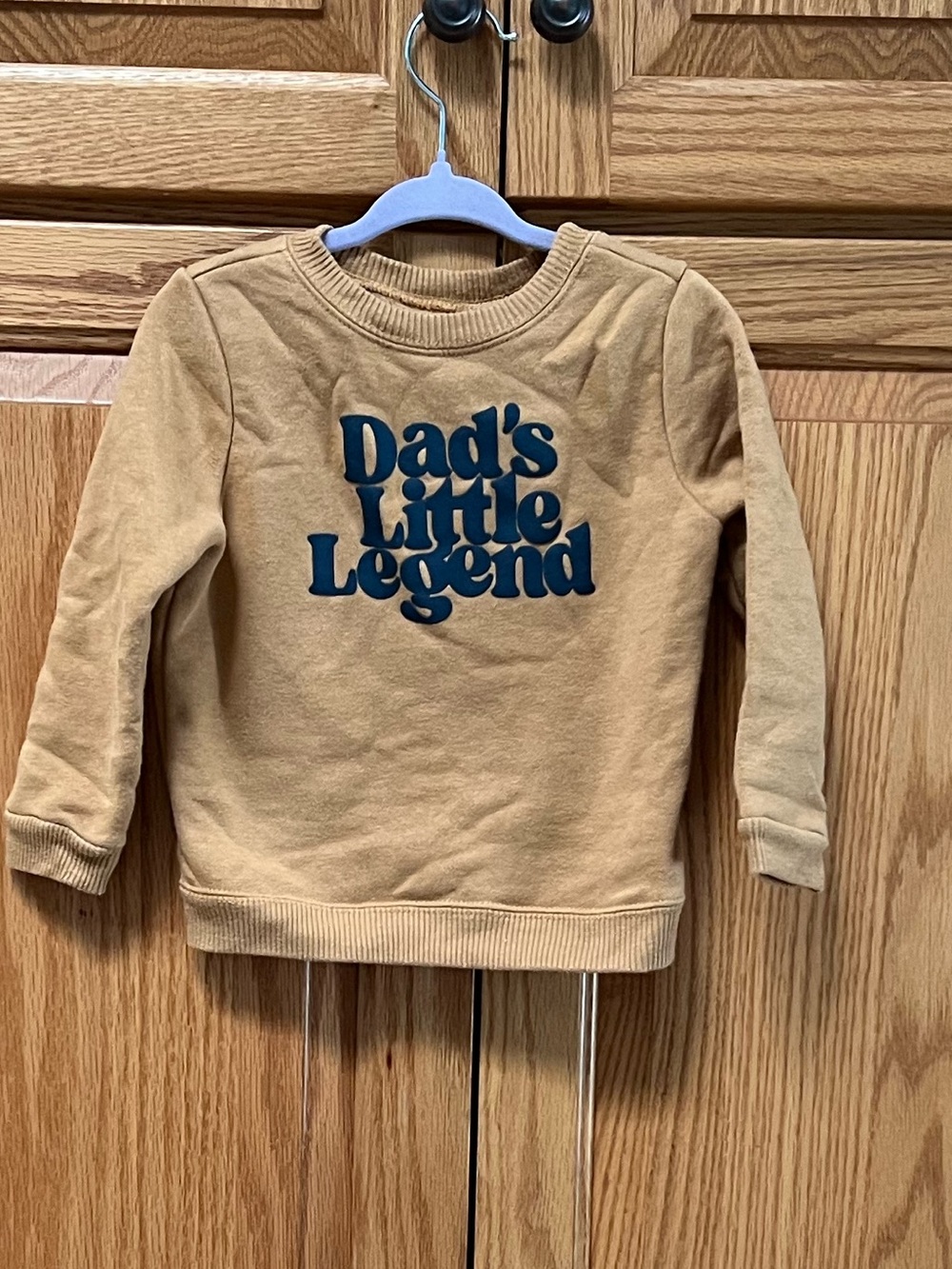 Garanimals Tan Sweatshirt with Navy "Dad's Little Legend" Graphic, GUC, Size 18m